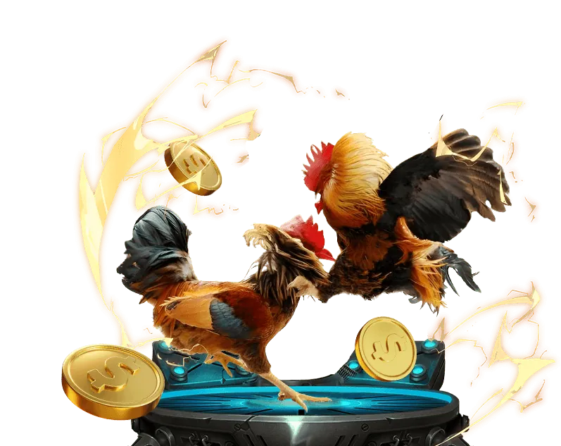 Sứ mệnh và giá trị cốt lõi của 55fit